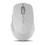 Rapoo M300 Wireless Mouse
